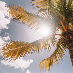 солнечная смуглая свадьба