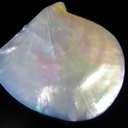 перламутровая свадьба