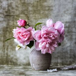 благодатная свадьба