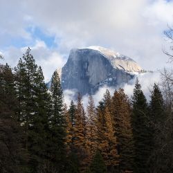 гранитная свадьба